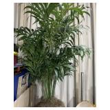 ARTIFICIAL IVY AND 3