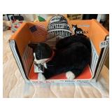 SOCKS THE WHITE HOUSE CAT