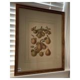 24" X 19" FRAMED PAIR PRINT