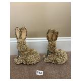 ADORABLE CAT TAIL BUNNIES