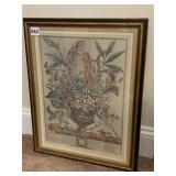 BOTANICAL JANUARY ENGRAVED BY FLETCHER 19 X 16"