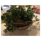 BASKET W/ IVY