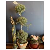 TOPIARY 21ï¿½, SILK AFRICAN VIOLET, ART NOEVUE LADY