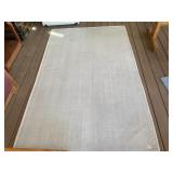 CLEAN PATIO RUG