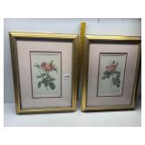 PAIR OF MATCHING FRAMED AND MATTED ROSE PRINTS