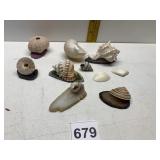 POLISHED GEMSTONES AND SHELLS