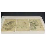 ORIENTAL DRAWING ON SUPER THIN RICE PAPER SEE