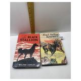 THE BLACK STALLION 1941 AND THE BLACK STALLION