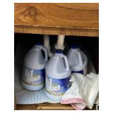 2 FULL BLEACH, 1 PARTIAL, TRASH BAGS