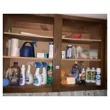 CLEANING PRODUCTS INCLUDING RUG CLEANER, CHAMOIS,