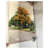 AUTUMN PHOTO PICASSO PRINT 16X12