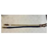 BLUE AND BEIGE COACH 36