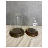 2 GLASS DOME DISPLAYS WITH WOOD BASE