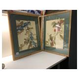 BLUE JAY BY ROGER PETERSON