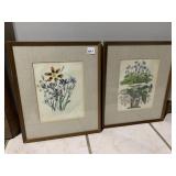 BOTANICAL PRINTS #ED WOOD FRAME