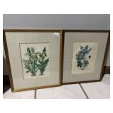 BOTANICAL PRINTS #ED WOOD FRAME