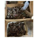 LARGE QUANTITY OF PINECONES
