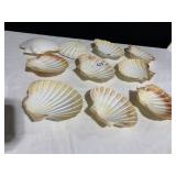 SHELLS