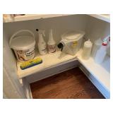 CARPET DRY CLEANER, CLEANING BRUSH, SPRAY BOTTLE