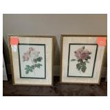 PRINT 28.5" X 23.5" ROSIER DE CELS FRAMED PRINTS