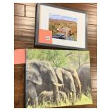 ELEPHANT PICTURE AND COUNTRY CLUB FRAMED PRINTS