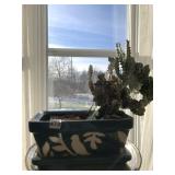 GLAZED PLANTER W/ BIRD DESIGN -HERNIA LIVE CACTUS