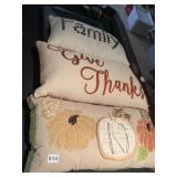 DECORATIVE THROW PILLOWS