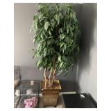 96" ARTIFICIAL FICUS TREE