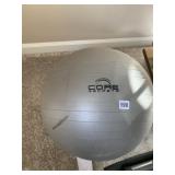 CORE SECRETS YOGA BALL