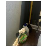 CLOROX CLEANUP, LYSOL TOILET CLEANER
