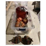 PUMPKINS AND FALL Dï¿½COR