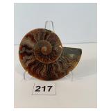 AMMONITE CUT & POLISHED 4" W X 3.25" H W/ STAND