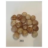ESCARGOT EMPTY SHELLS