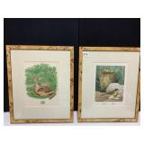 MARYLAND BELTED KING FISHER & MOURNING DOVE