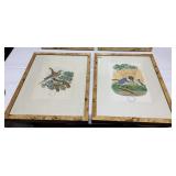 MARYLAND YELLOW THROAT & AM. WOODCOCK