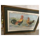 RATIONAL POULTRY BREEDING FRAMED 36" X 48"