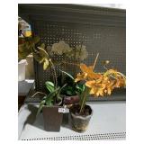 ARTIFICIAL ORCHIDS