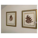 FRAMED FERNS