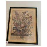 FLOWER PICTURES AUG. & JULY