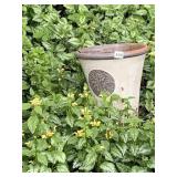 TERRACOTTA PLANTER