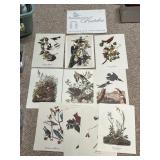 AUDUBON PRINTS