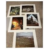 ANIMAL TRACKS POSTER AND CHESAPEAKE APPRECIATION