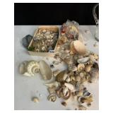 SHELLS IN A GROUND PONTIL WATER PITCHER