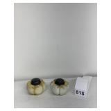 ENAMELED MT. WASHINGTON ANTIQUE SALT/PEPPERS