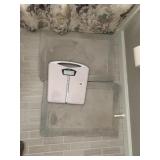 RUG, SCALE WEIGHT WATCHERS