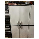 TWO DOOR STORAGE CABINETS