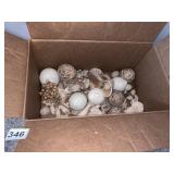 SEASHELLS ASSORTED UNUSUAL ONES