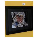 PENS FRAMED AUTOGRAPHED PICTURE FLEURY SIGNED LL