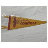 PITTSBURGH CONDORS PENNANT FELT IN GOOD CONDITION