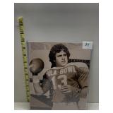 SIGNED PICTURE DAN MARINO #13 FROM HULA BOWL